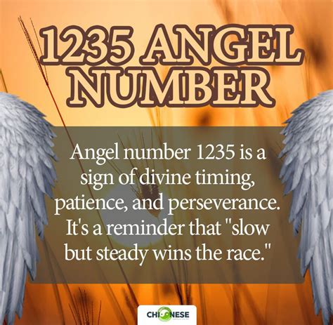 1235 Angel Number: What Does It Mean and How to Interpret It